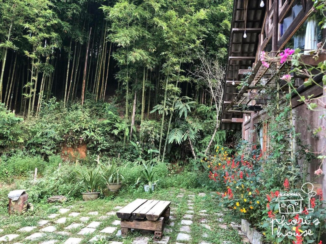Phori'S House - Bamboo Forest Sapa Exteriér fotografie