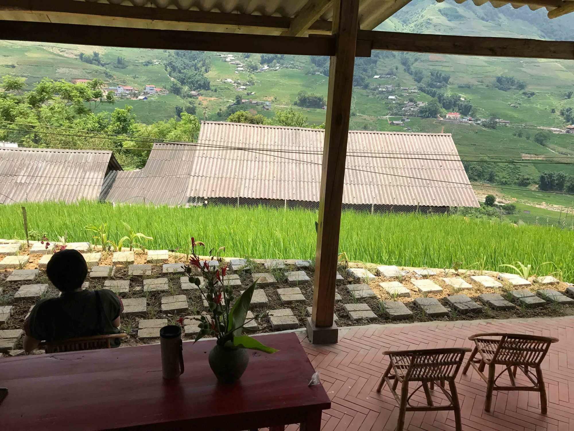 Phori'S House - Bamboo Forest Sapa Exteriér fotografie