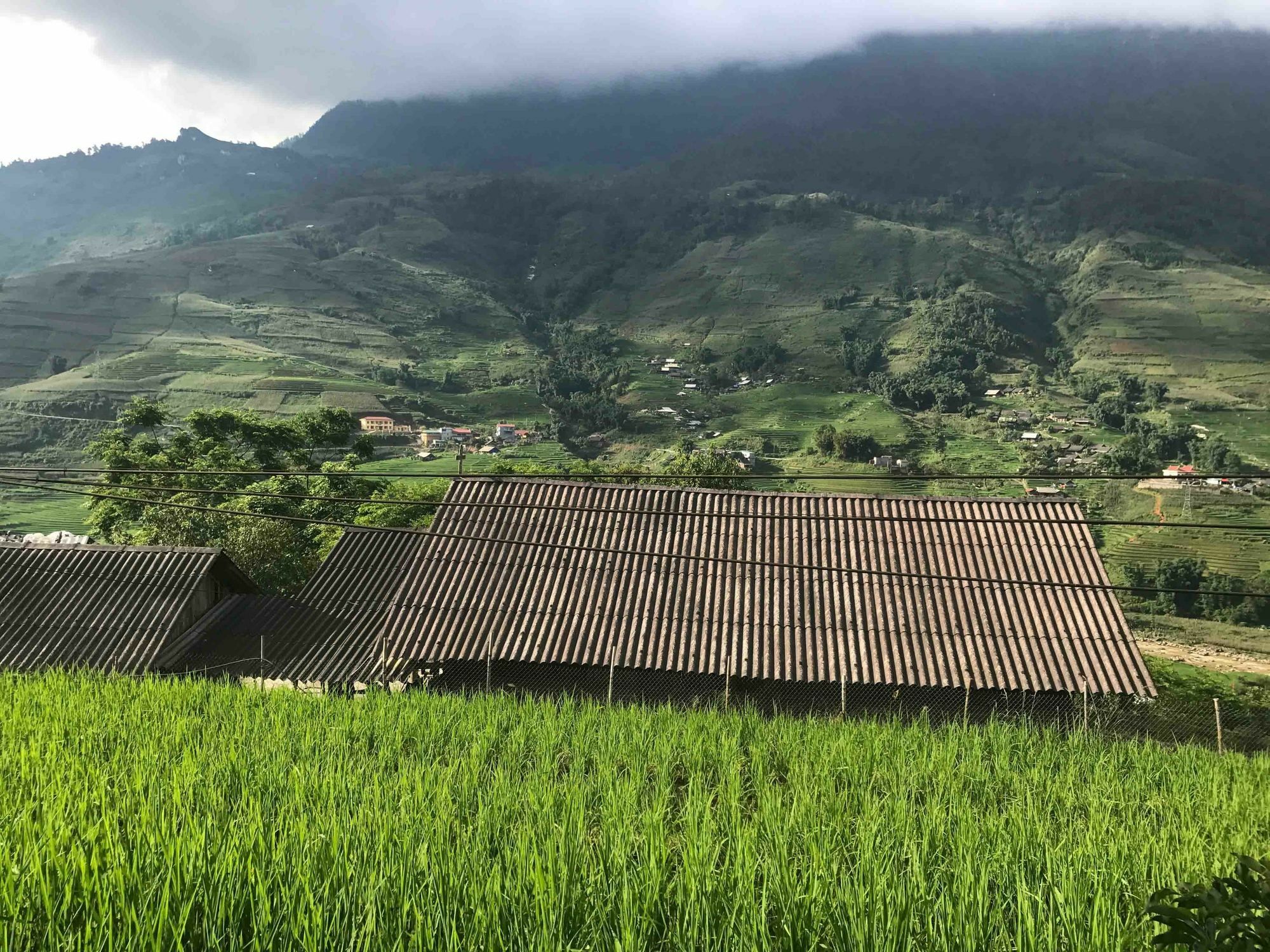 Phori'S House - Bamboo Forest Sapa Exteriér fotografie